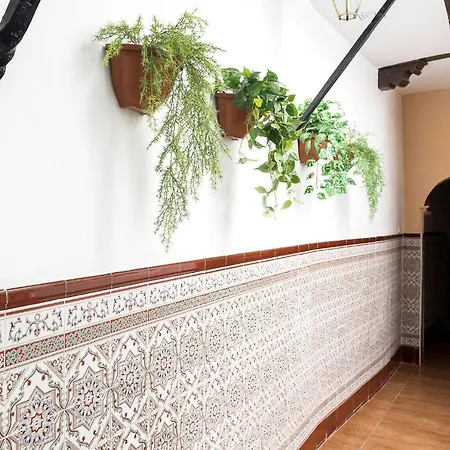 San Francisco * 加的斯